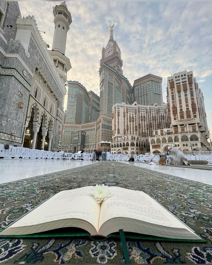 An open Qur'an with a flower resting on the page